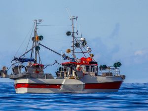 Fishing Vessels Skipper