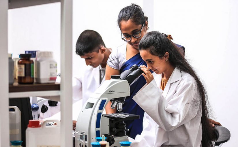 Gallery_0005_8M6A1136-825x510