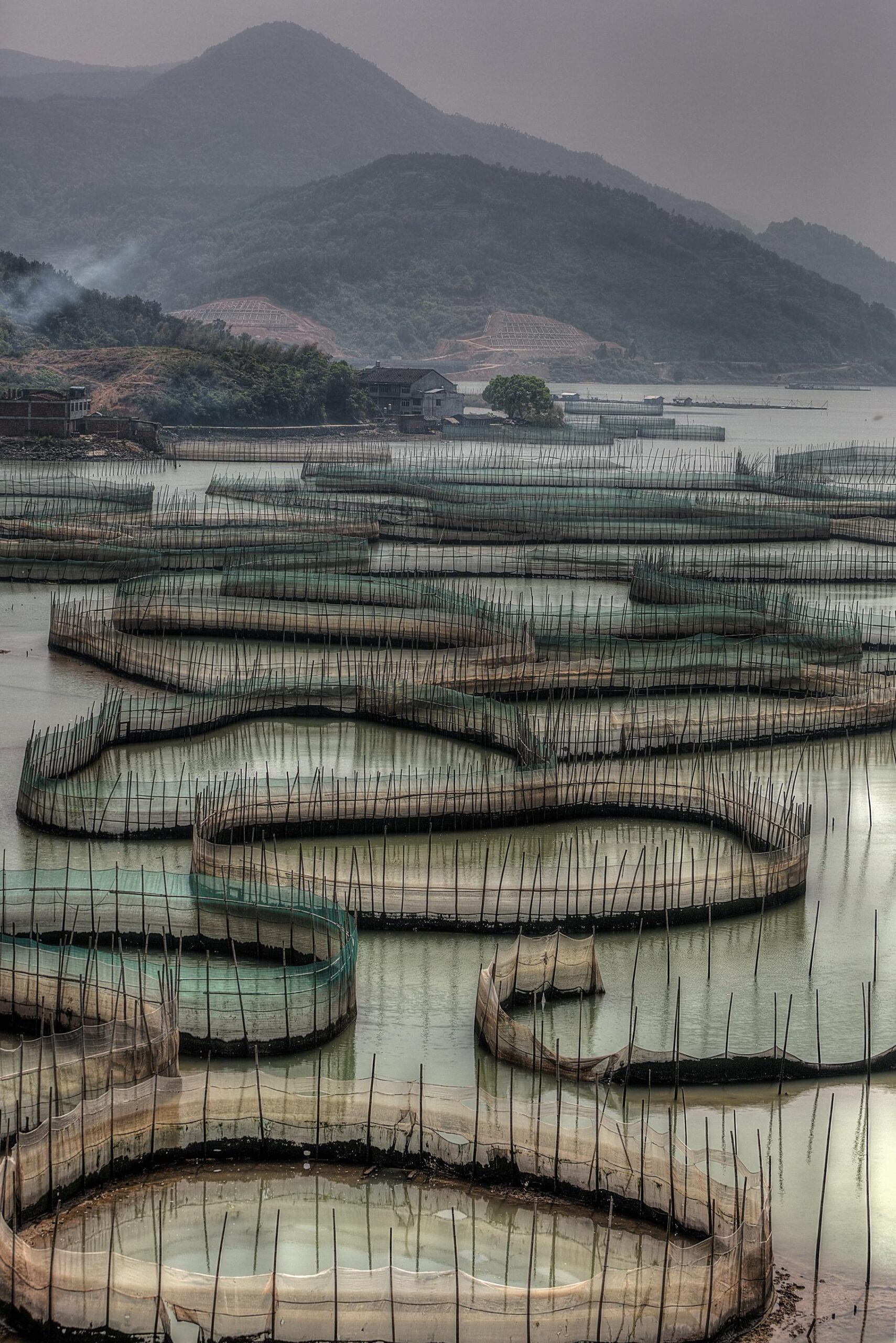 prawn-rings-and-mountains-2024-09-13-07-27-45-utc (1) prawn-rings-and-mountains-2024-09-13-07-27-45-utc (1)