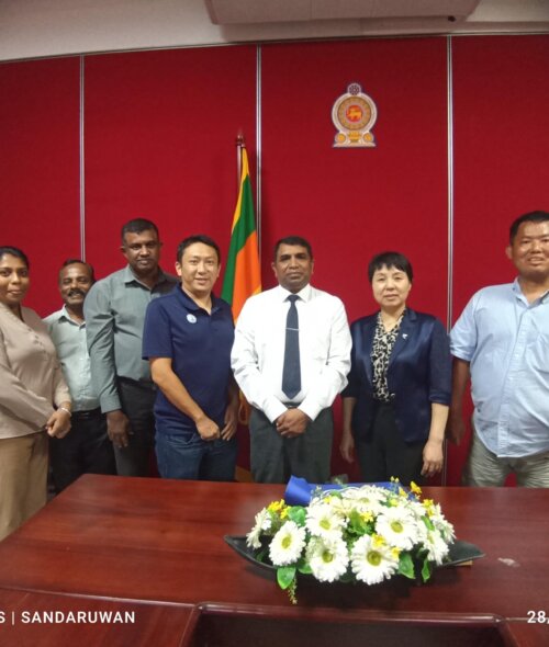 IMG_20230828_153542-scaled-500x590