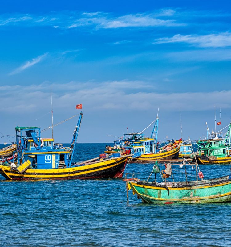 fishing-boats-in-vietnam-2024-10-23-07-54-27-utc (1)