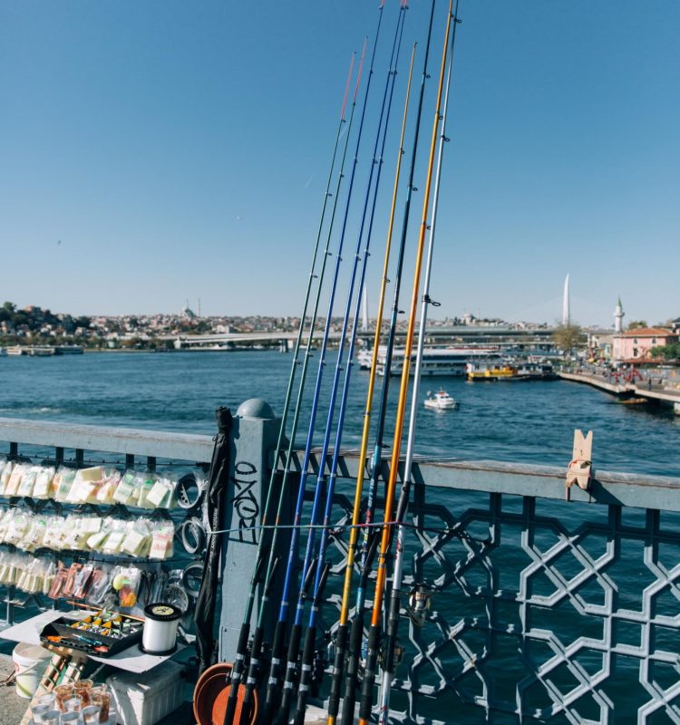 fishing-multicolored-fishing-rods-on-the-bridge-in-2025-01-08-23-31-37-utc (1)